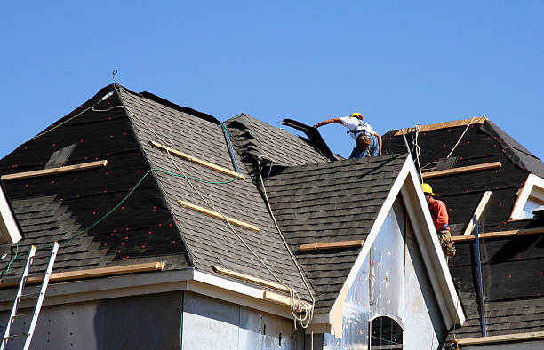 Best Roof Gutter Cleaning  in Centralia, MO